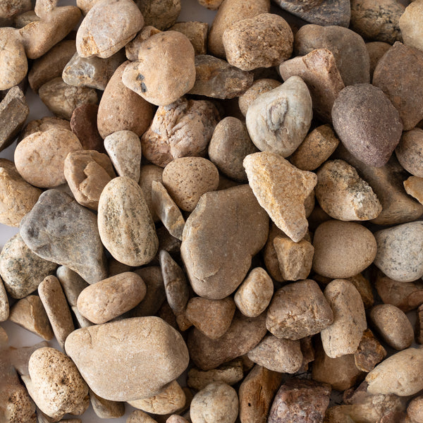 1.5" Local River Rock