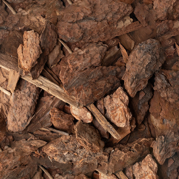 Large Bark