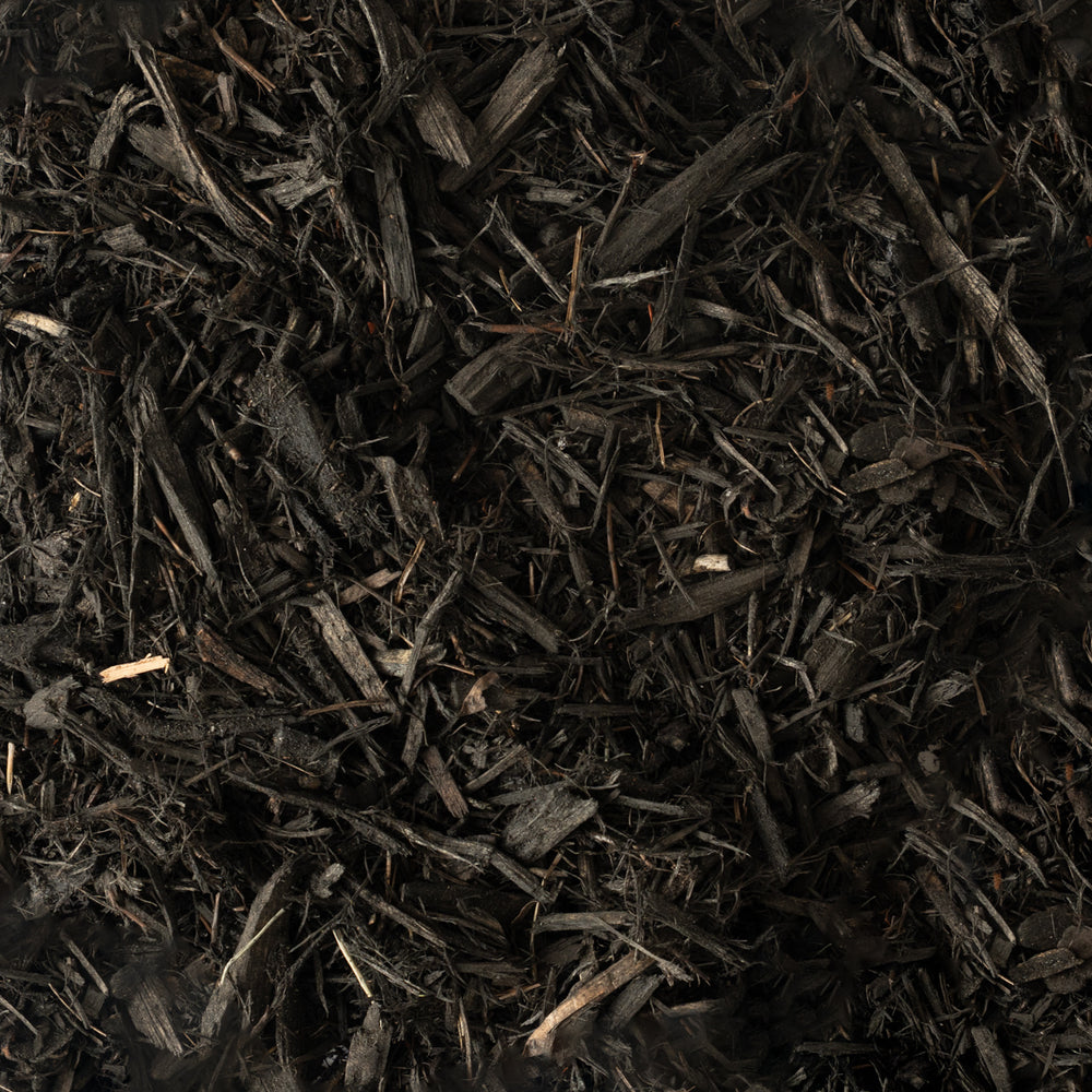 Metro Black Mulch